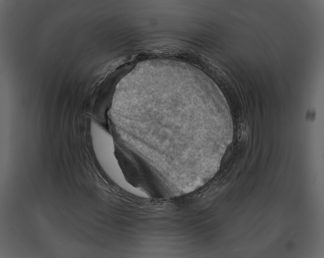 X0000091061108200708271150