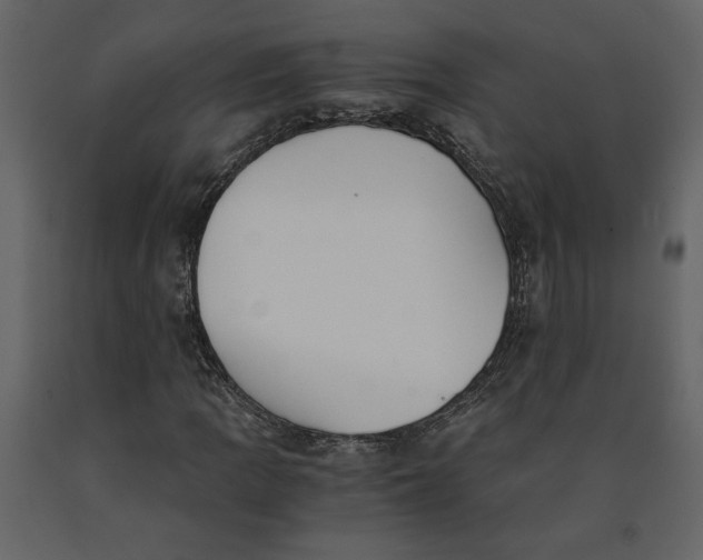X0000091061109200708271150