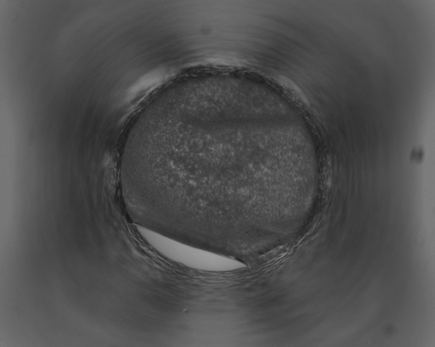 X0000091061110200708271150