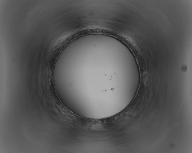X0000091061111200708271150