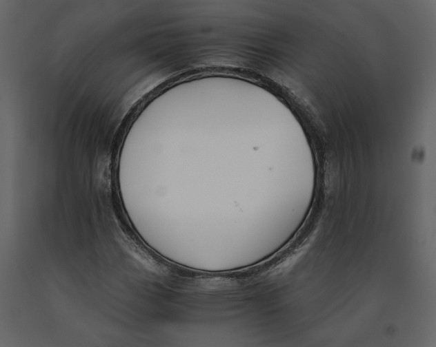 X0000091061113200708271150