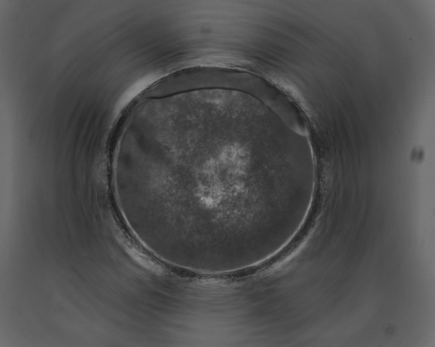 X0000091061114200708271150