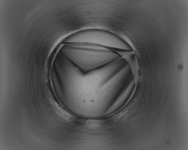 X0000091061116200708271150