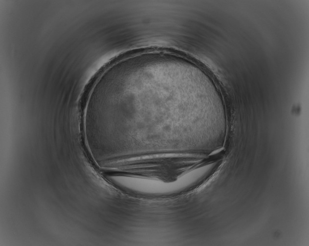 X0000091061118200708271150