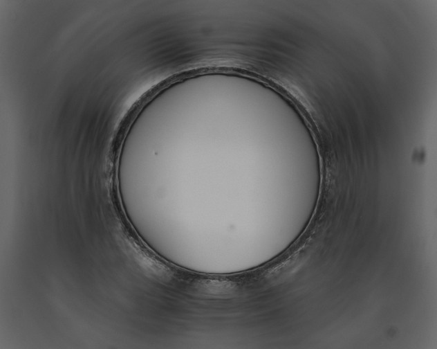 X0000091061119200708271150