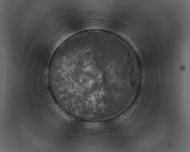 X0000091061121200708271150