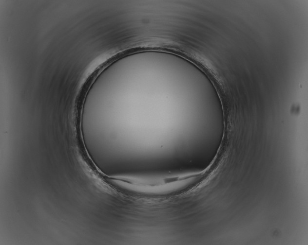 X0000091061122200708271150