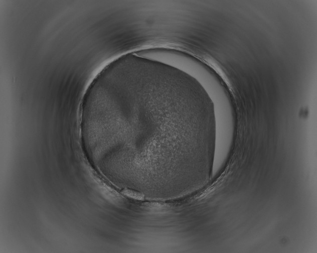 X0000091061124200708271150