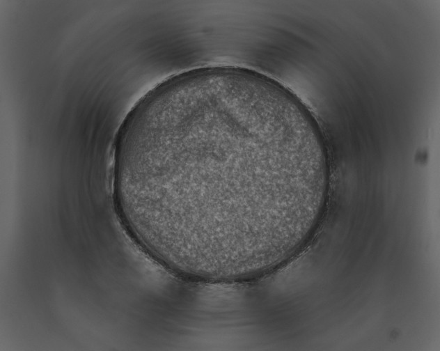 X0000091061126200708271150
