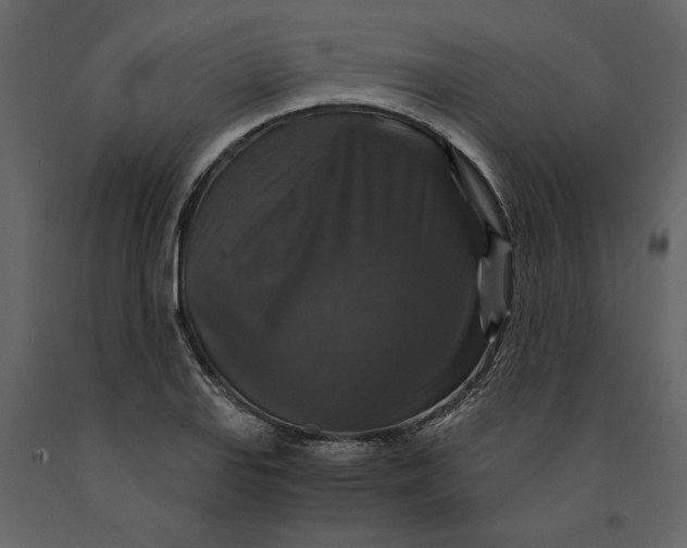 X0000091061127200708271150