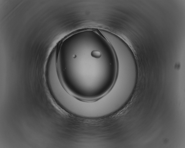 X0000091061128200708271150