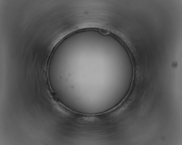 X0000091061129200708271150