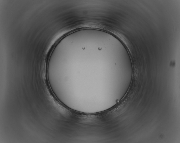 X0000091061131200708271150
