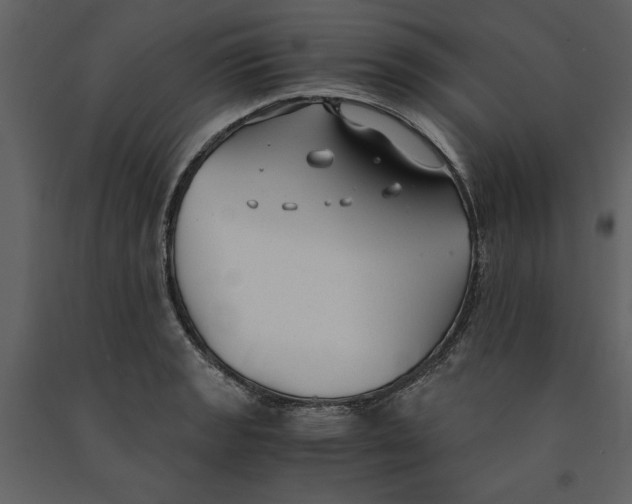 X0000091061133200708271150