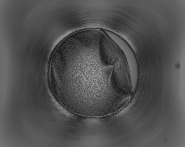 X0000091061134200708271150