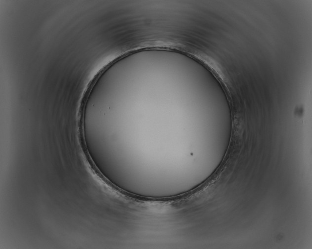 X0000091061135200708271150