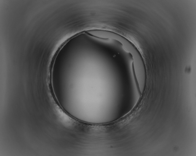X0000091061136200708271150