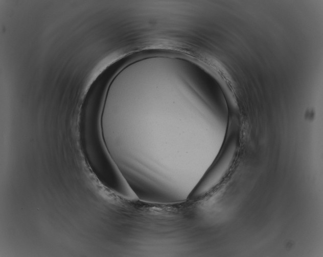 X0000091061138200708271150