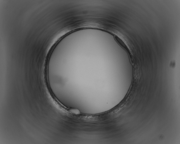 X0000091061139200708271150