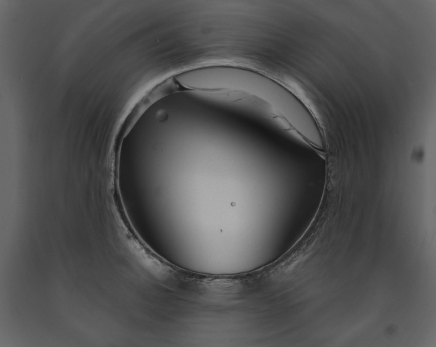 X0000091061140200708271150