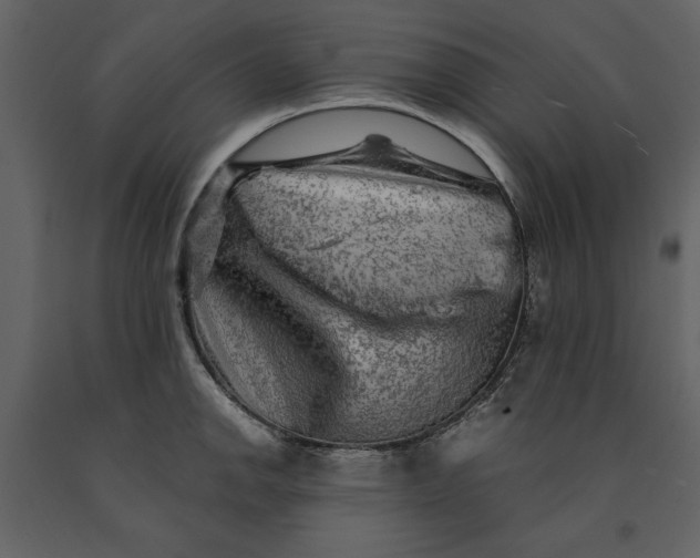 X0000091061142200708271150