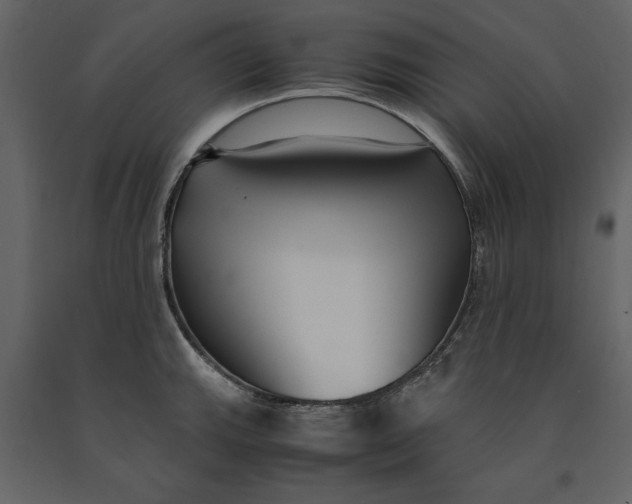 X0000091061143200708271150