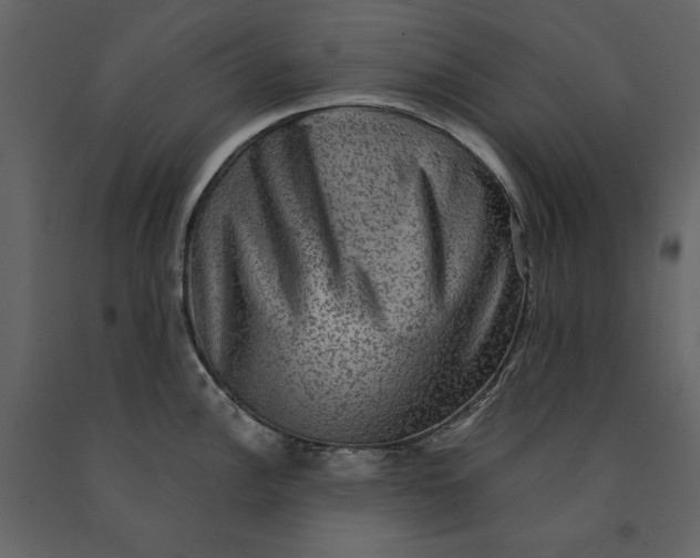 X0000091061148200708271151