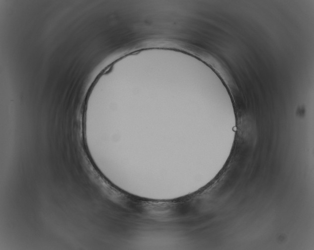 X0000091061150200708271151
