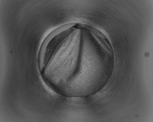 X0000091061152200708271151