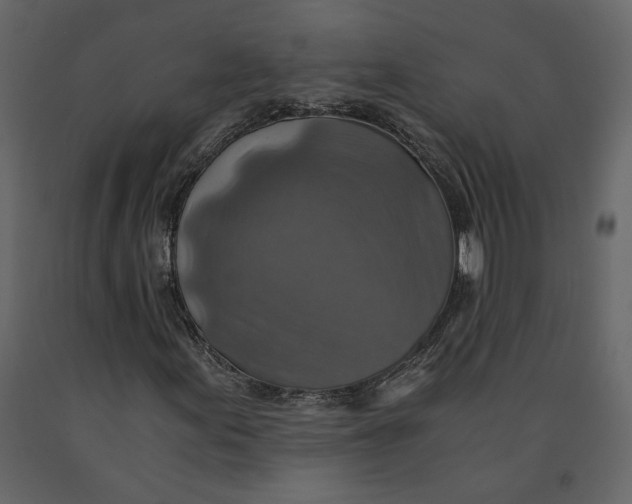 X0000091061155200708271150