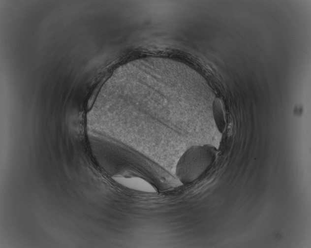 X0000091061156200708271150