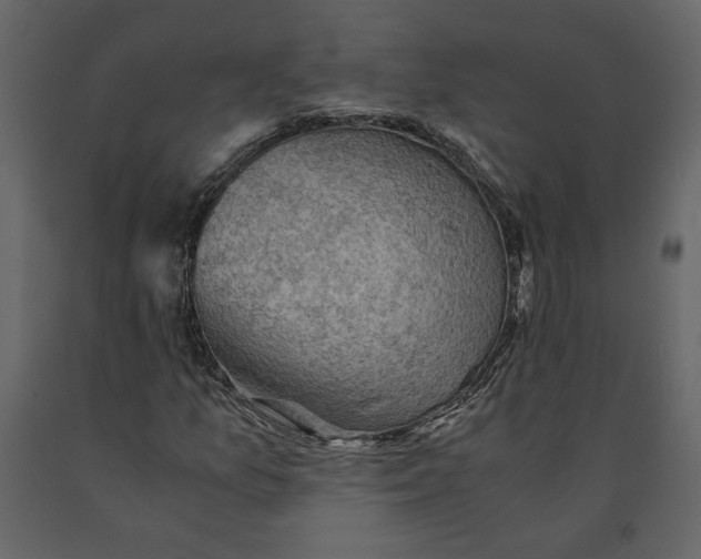 X0000091061157200708271150
