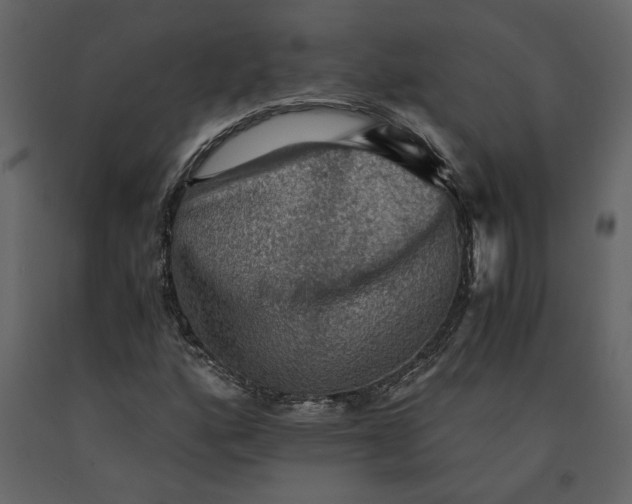 X0000091061160200708271150