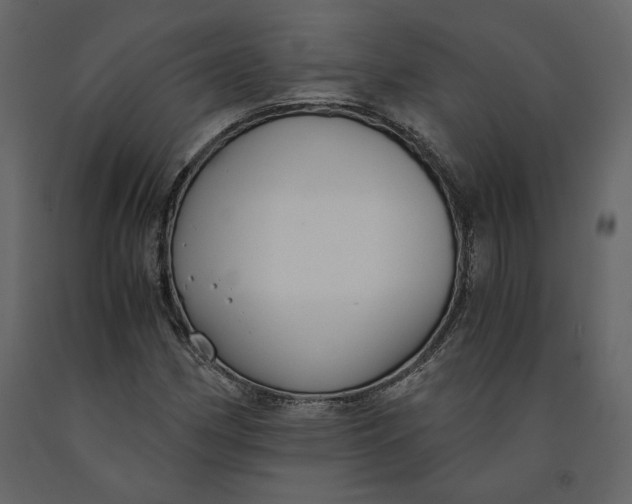 X0000091061162200708271150