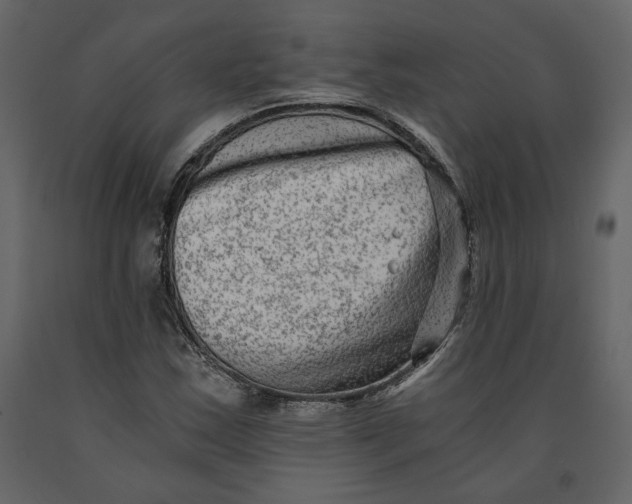 X0000091061163200708271150