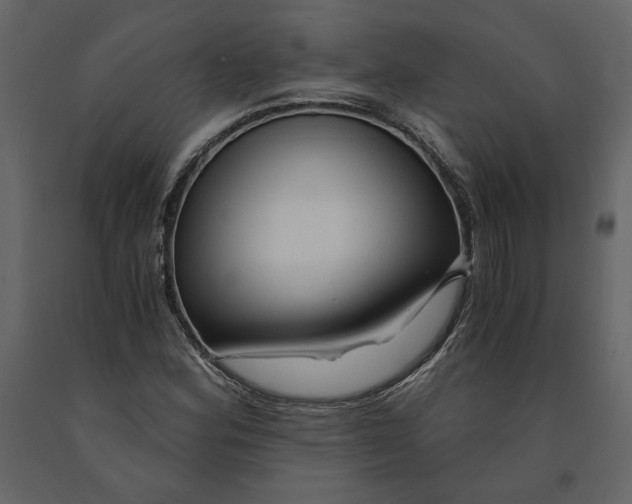 X0000091061164200708271150