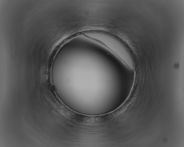 X0000091061165200708271150