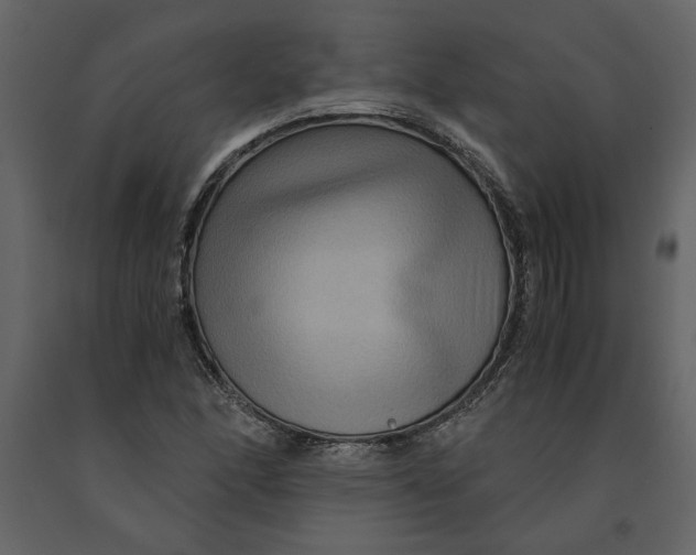X0000091061166200708271150