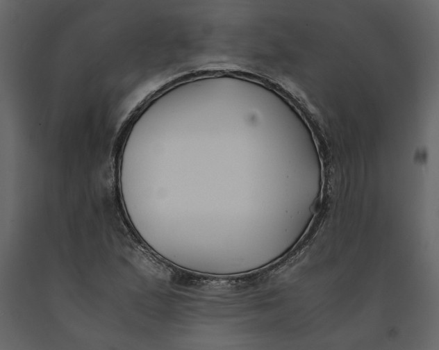 X0000091061167200708271150