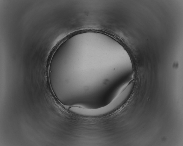 X0000091061168200708271150