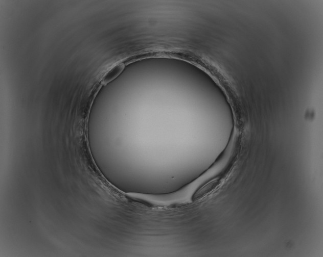 X0000091061169200708271150