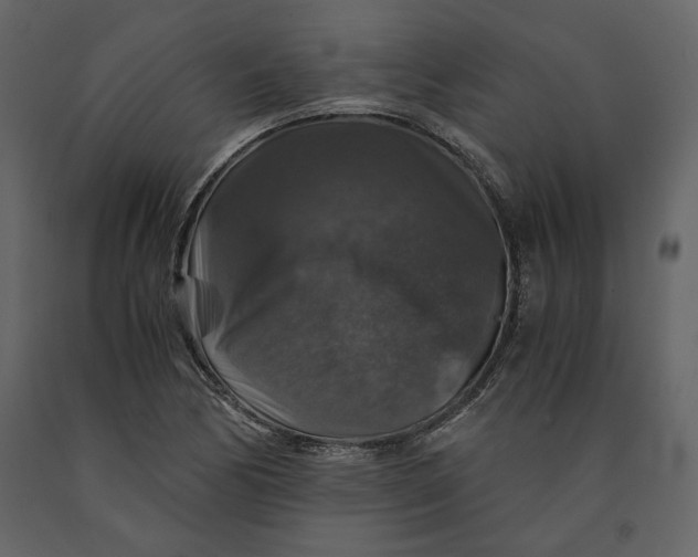 X0000091061170200708271150