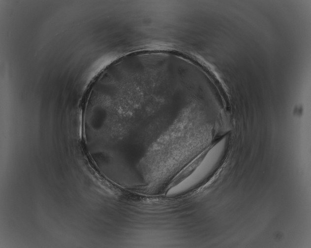 X0000091061171200708271150