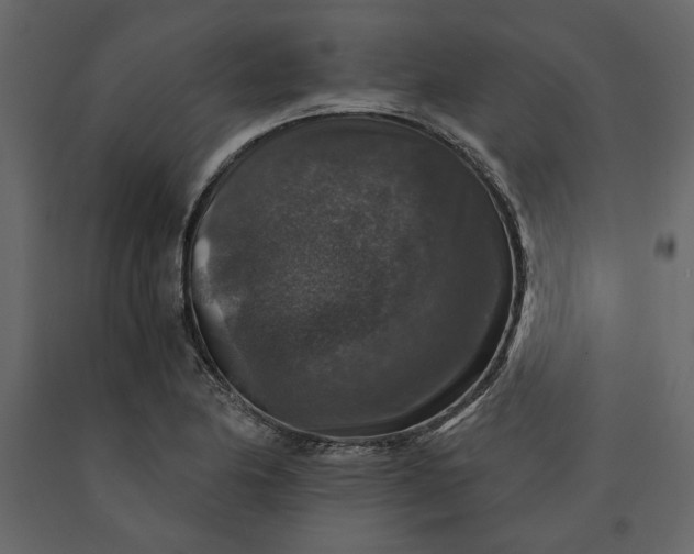 X0000091061174200708271150