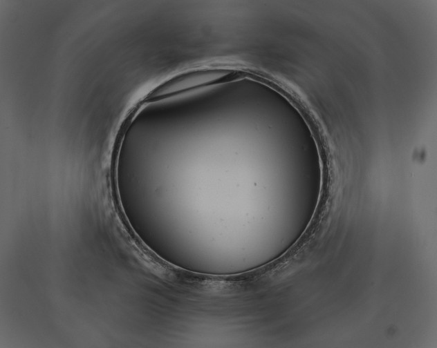 X0000091061176200708271150