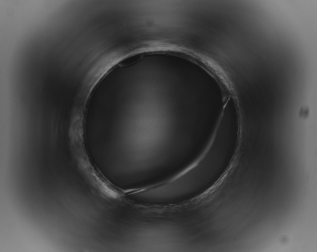 X0000091061177200708271150
