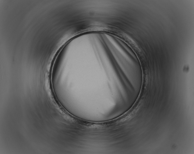 X0000091061178200708271149