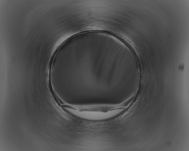 X0000091061179200708271149