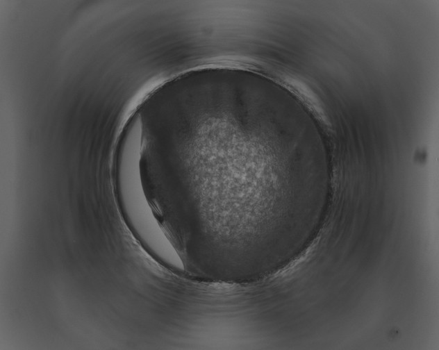 X0000091061180200708271149