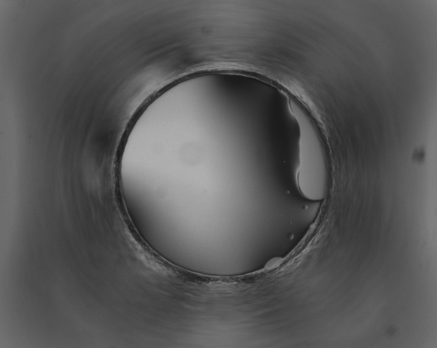 X0000091061181200708271149